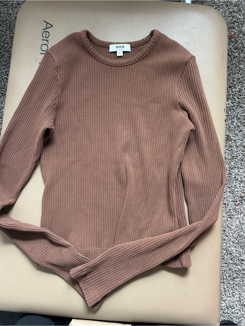 Agolde Ribbed Crewneck Sweater in Chestnut Brown